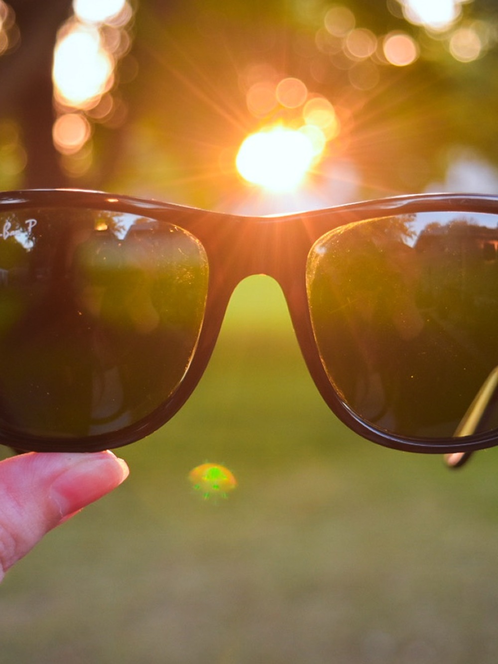 Ray-Ban Black Sunglasses